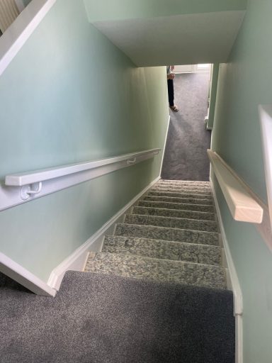 Stairs with light green walls and a carpeted floor leading downward.