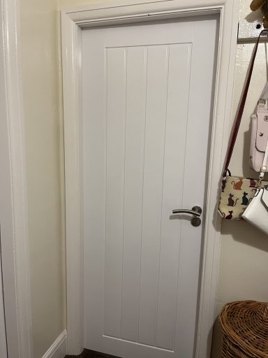 White panelled door with a sleek metal handle in a hallway setting.