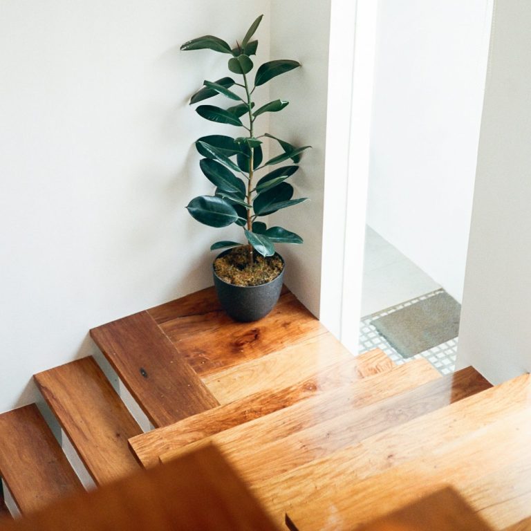 Wooden stairs leading to a bright hallway with a potted plant on the steps.
