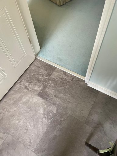 Light grey flooring transitions from a room with a door to a hallway with green carpet.