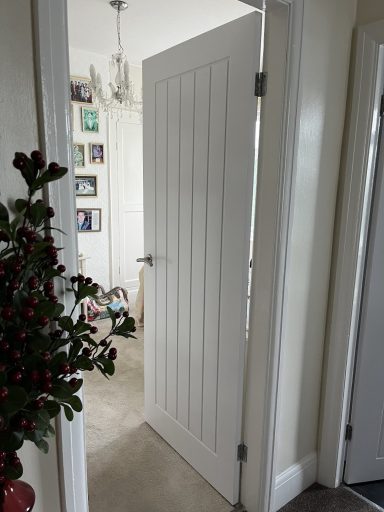 White interior door with vertical panels, set in a light-coloured wall.