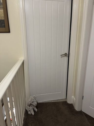 A white panel door in a hallway with a soft toy on the carpet below.