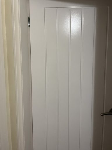 White wooden door with vertical paneling and a silver handle.