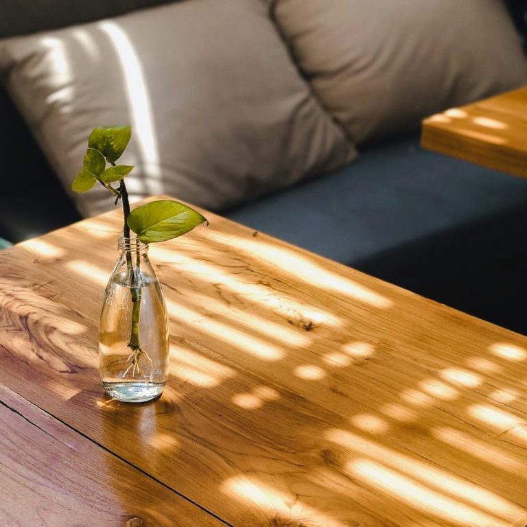 A small vase with a green leaf on a wooden table, beside a sofa with cushions.